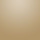 Brushed Light Gold