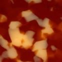 Red Flecks in Beige