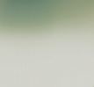 Green Gradient