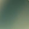 Green Solid