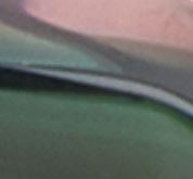 Stripy Green on Pink