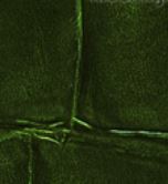Croco Green