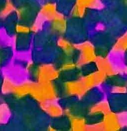 Fluor Flavor