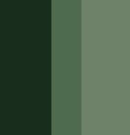 Green Dark to Light