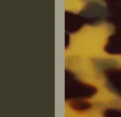 Green on Leopard