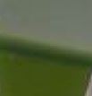 Grey / Green